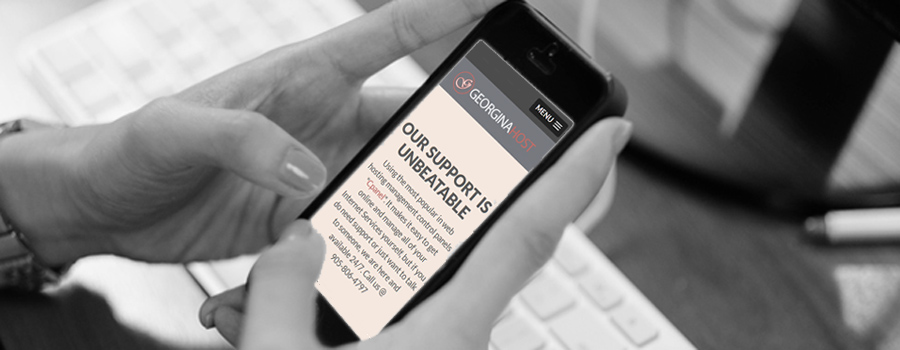 Website Management